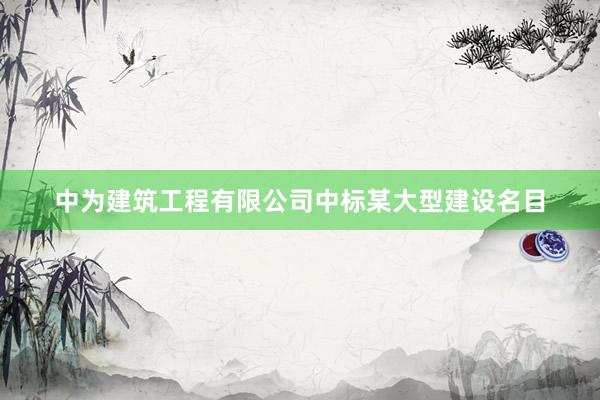 中为建筑工程有限公司中标某大型建设名目